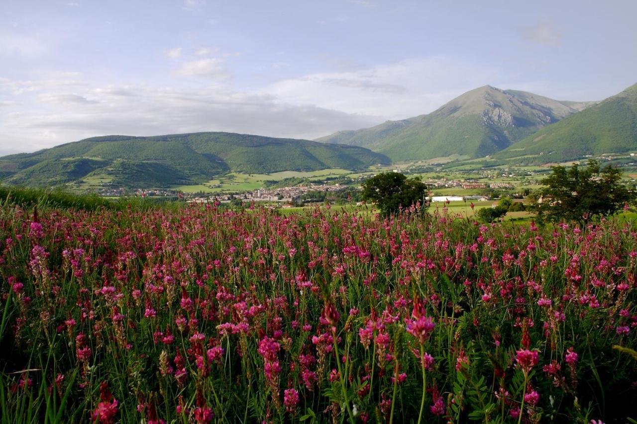 Agriturismo La Cascina Di Opaco نورسا المظهر الخارجي الصورة