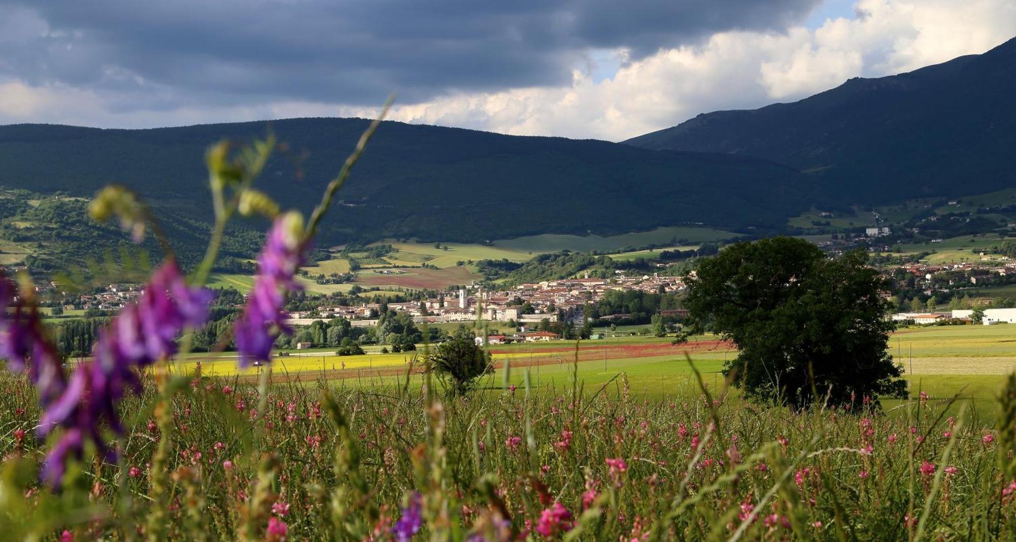 Agriturismo La Cascina Di Opaco نورسا المظهر الخارجي الصورة