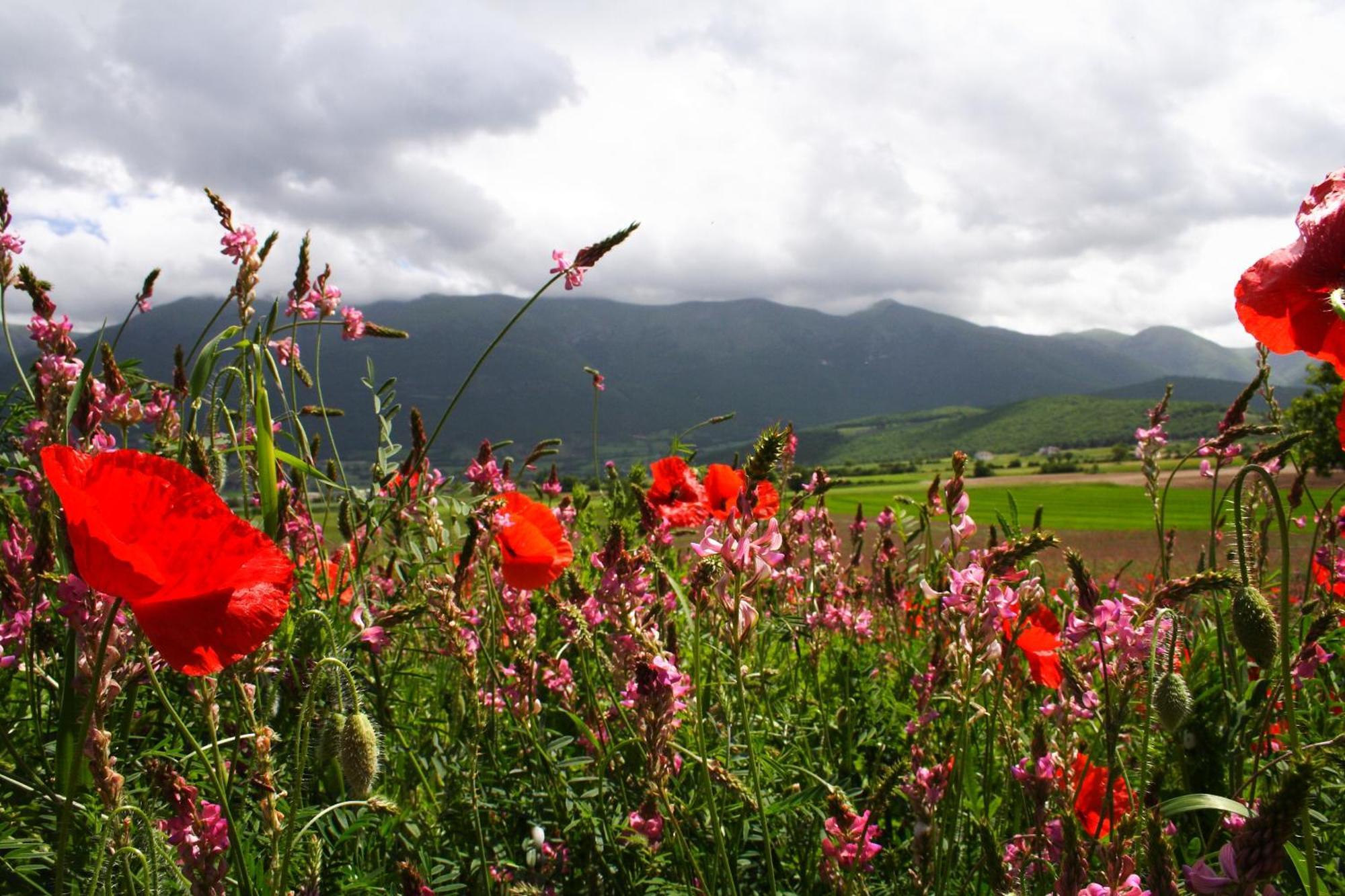 Agriturismo La Cascina Di Opaco نورسا المظهر الخارجي الصورة