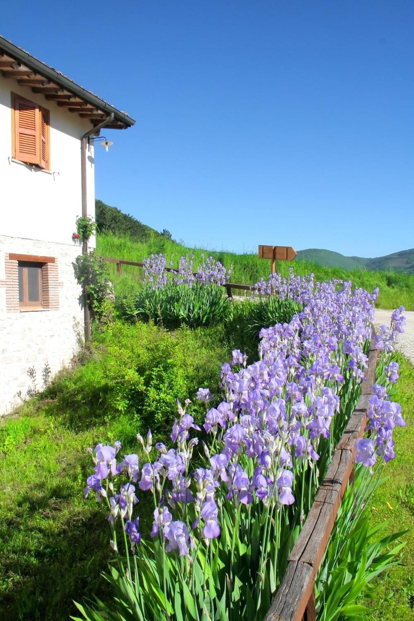 Agriturismo La Cascina Di Opaco نورسا المظهر الخارجي الصورة